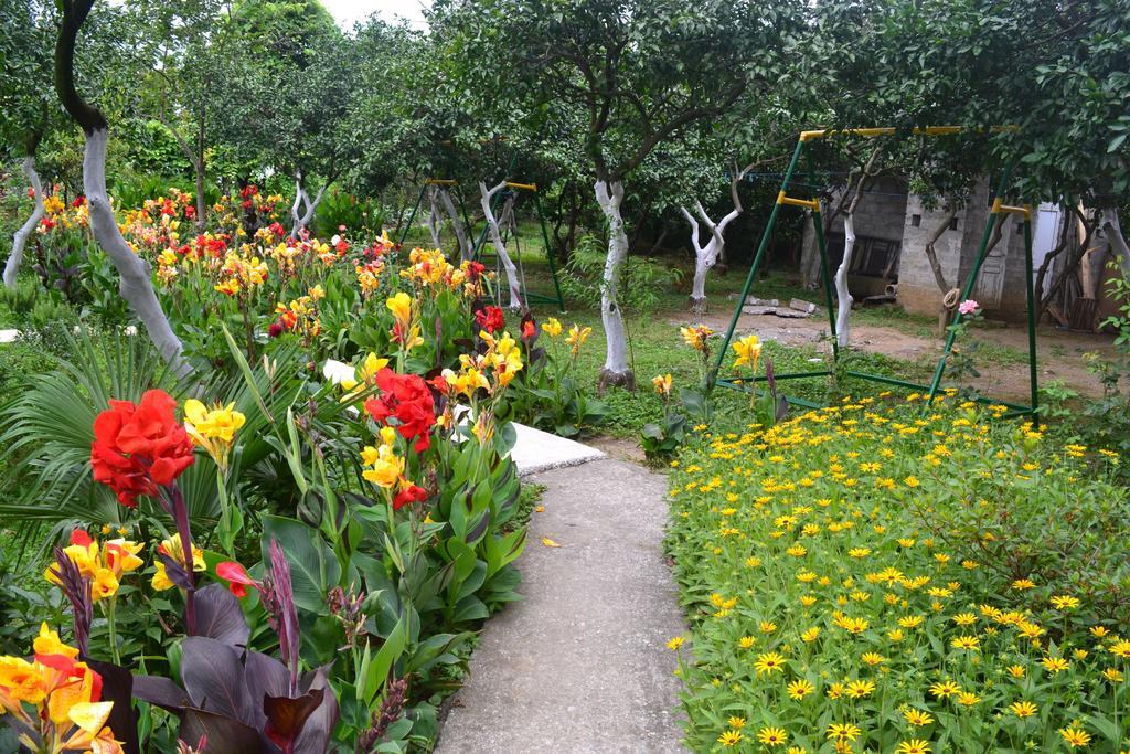 Kvariati Grand Guest House Gonio Εξωτερικό φωτογραφία